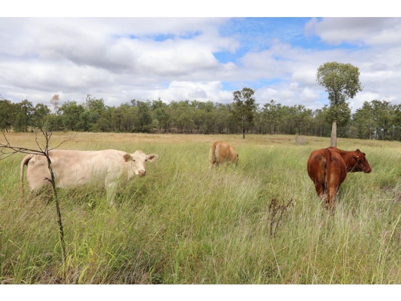 6301 Capricorn Highway, Gogango QLD 4702