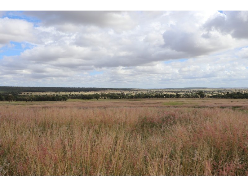 6301 Capricorn Highway, Gogango QLD 4702