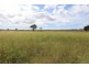 6301 Capricorn Highway, Gogango QLD 4702