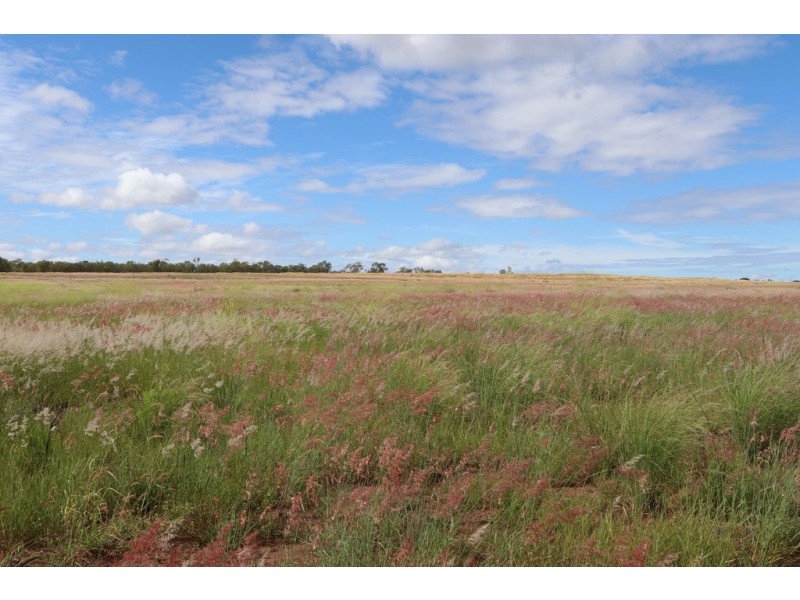 6301 Capricorn Highway, Gogango QLD 4702