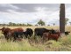 6301 Capricorn Highway, Gogango QLD 4702
