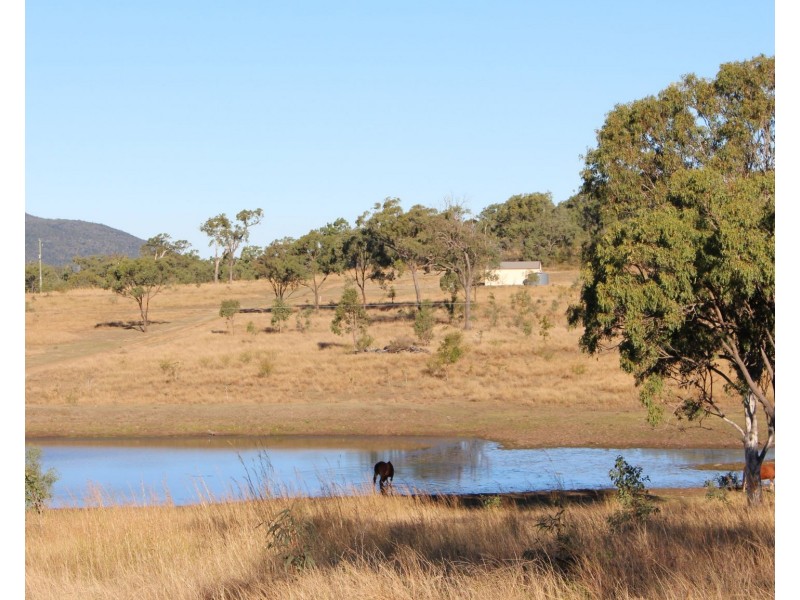 589 The Narrows Road, Mount Larcom QLD 4695