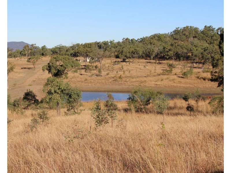 589 The Narrows Road, Mount Larcom QLD 4695