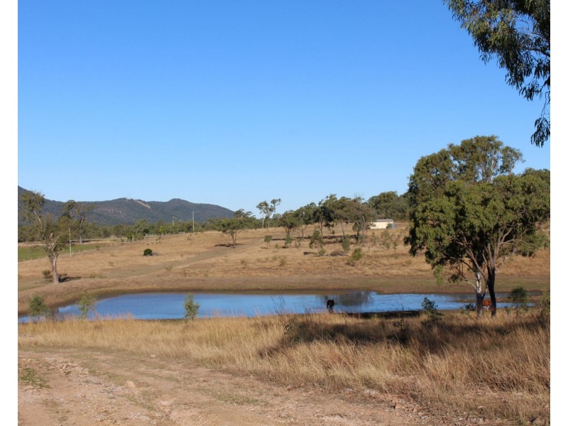 589 The Narrows Road, Mount Larcom QLD 4695