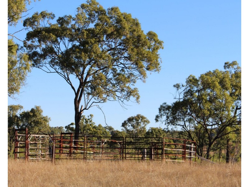 589 The Narrows Road, Mount Larcom QLD 4695