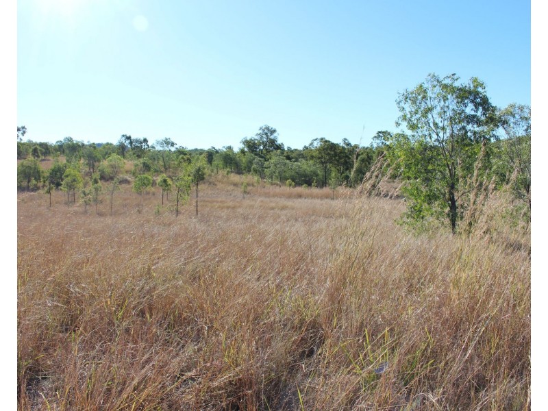 589 The Narrows Road, Mount Larcom QLD 4695