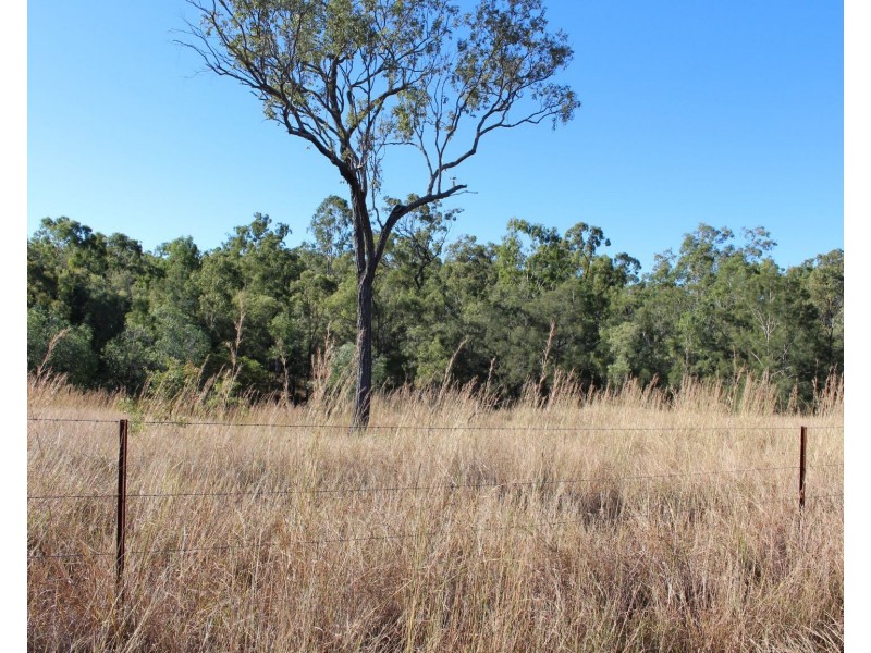 589 The Narrows Road, Mount Larcom QLD 4695