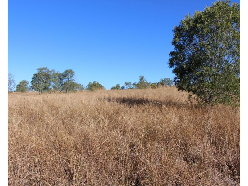 589 The Narrows Road, Mount Larcom QLD 4695