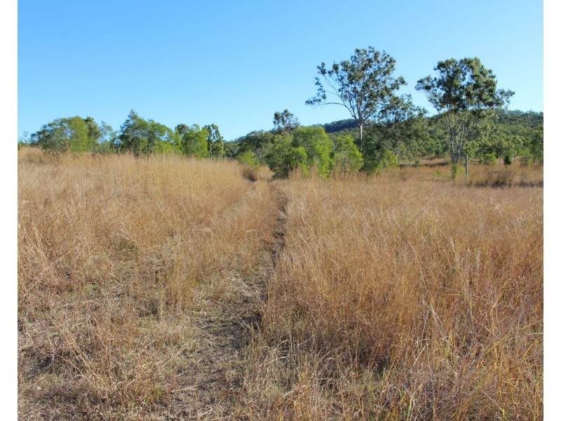 589 The Narrows Road, Mount Larcom QLD 4695