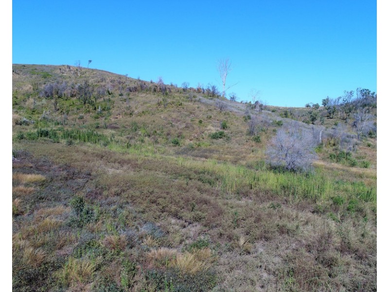 300 Henicke Road, Machine Creek QLD 4695