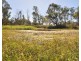 300 Henicke Road, Machine Creek QLD 4695
