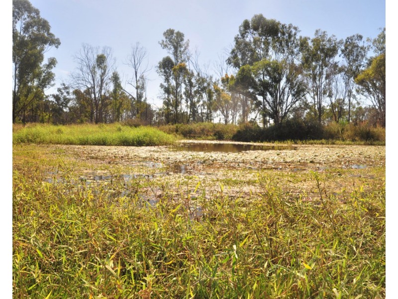 300 Henicke Road, Machine Creek QLD 4695
