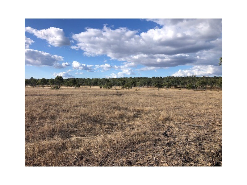 21372 Fitzroy Developmental Rd, Duaringa QLD 4712