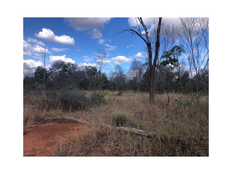 21372 Fitzroy Developmental Rd, Duaringa QLD 4712