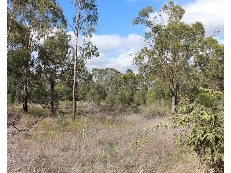 28 Munro Lane, Marmor QLD 4702