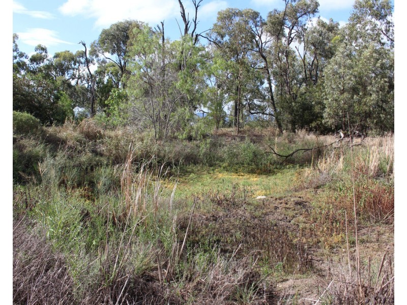 28 Munro Lane, Marmor QLD 4702