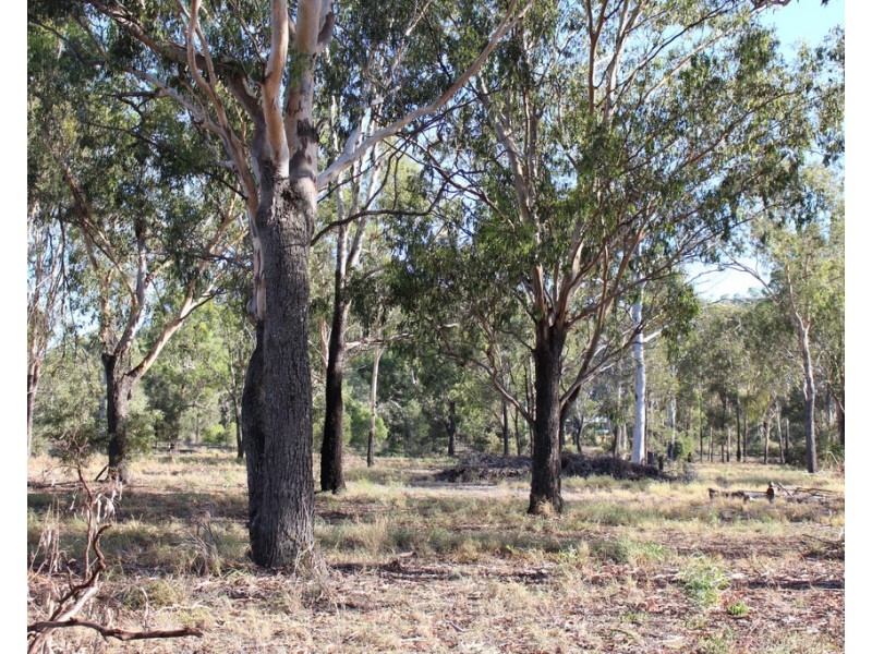 Lot 171 Bruce Highway, Marmor QLD 4702