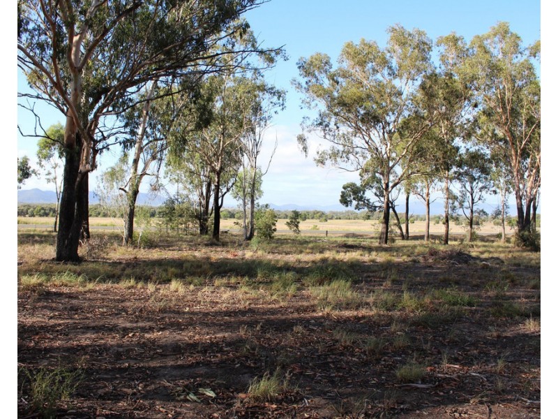 Lot 171 Bruce Highway, Marmor QLD 4702