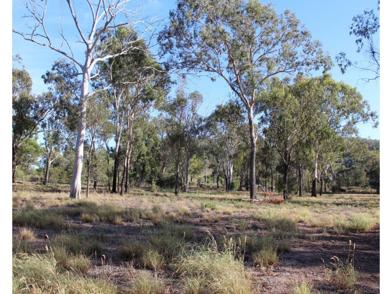 Lot 171 Bruce Highway, Marmor QLD 4702