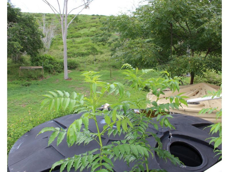 212 Henicke Road, Machine Creek QLD 4695