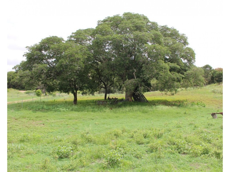 212 Henicke Road, Machine Creek QLD 4695