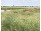 LOT 2 DUNPHY ROAD, Gogango QLD 4702