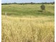 LOT 2 DUNPHY ROAD, Gogango QLD 4702