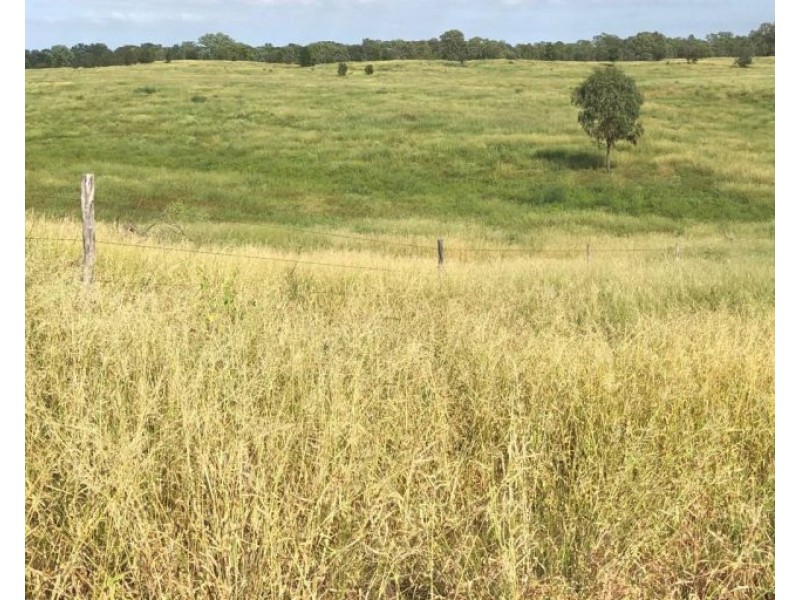 LOT 2 DUNPHY ROAD, Gogango QLD 4702