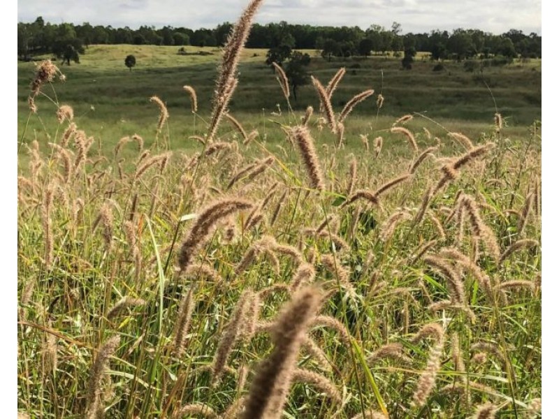 LOT 2 DUNPHY ROAD, Gogango QLD 4702