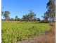 97 Raglan Station Road, Raglan QLD 4697