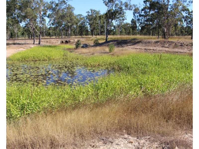 97 Raglan Station Road, Raglan QLD 4697