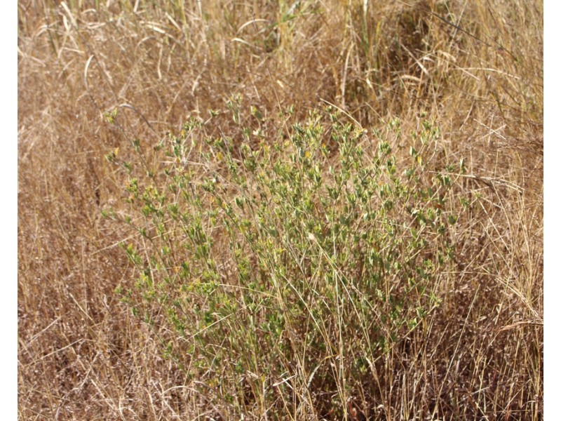 97 Raglan Station Road, Raglan QLD 4697