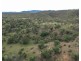 4407 ROSEWOOD ROAD, Morinish South QLD 4702