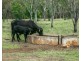 4407 ROSEWOOD ROAD, Morinish South QLD 4702