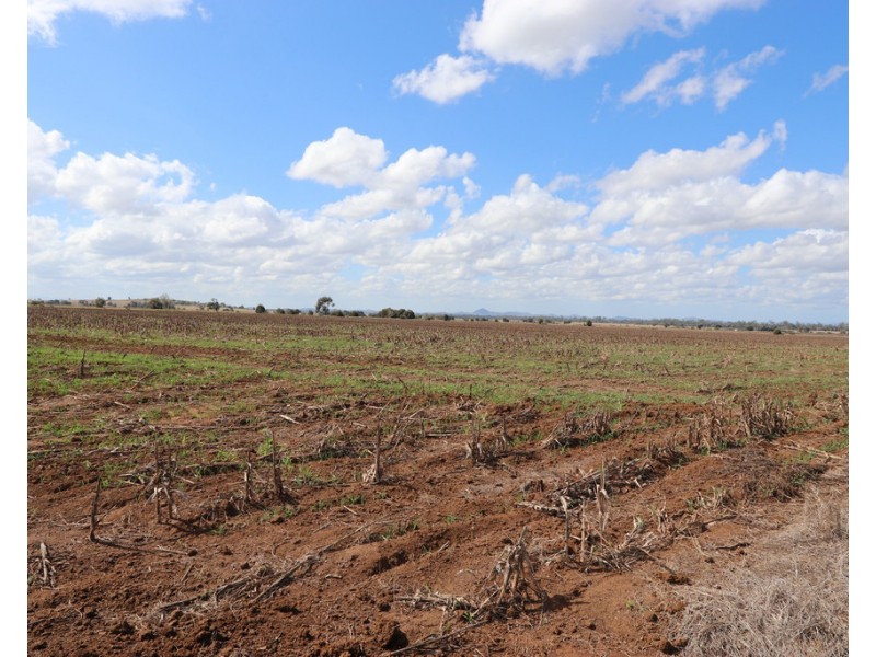 94 EVANS ROAD, Garnant QLD 4702