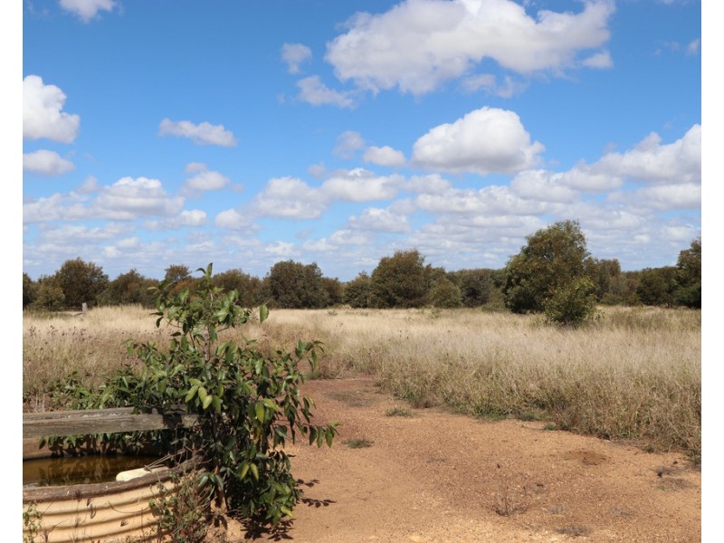 94 EVANS ROAD, Garnant QLD 4702