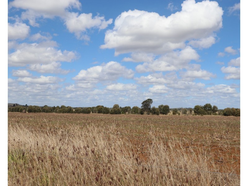 94 EVANS ROAD, Garnant QLD 4702