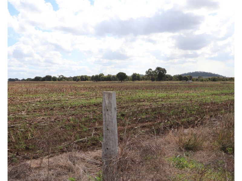 94 EVANS ROAD, Garnant QLD 4702