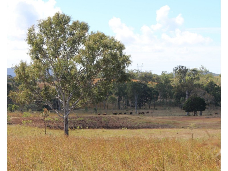 415 The Narrows Road, Mount Larcom QLD 4695