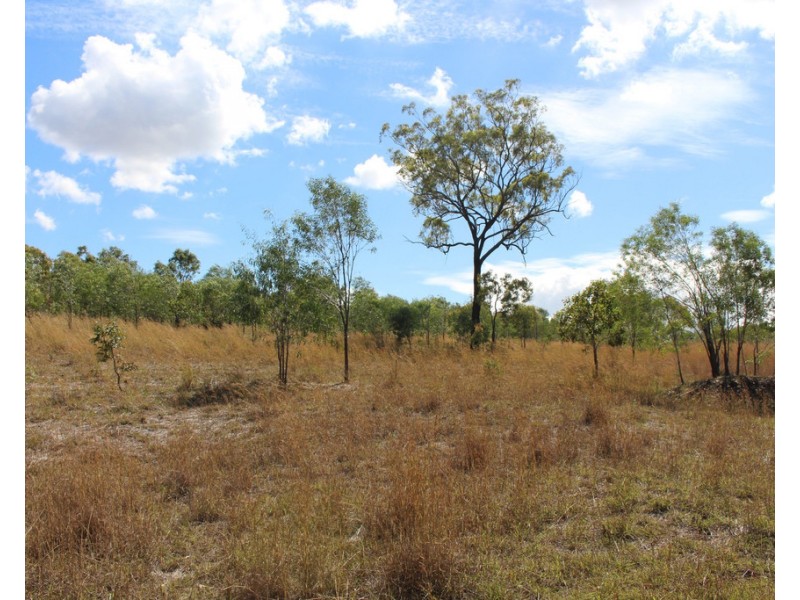 415 The Narrows Road, Mount Larcom QLD 4695