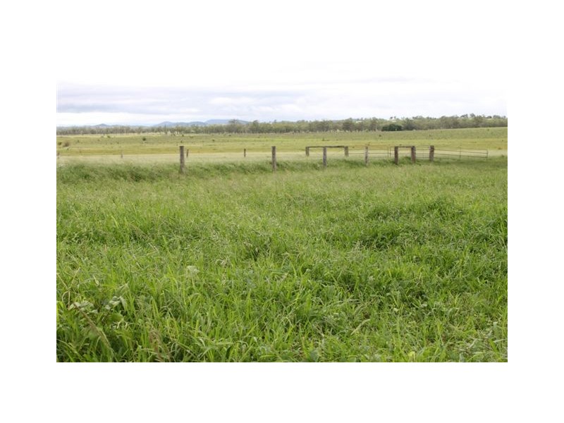 119 Harding Road, Alton Downs QLD 4702