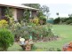 119 Harding Road, Alton Downs QLD 4702