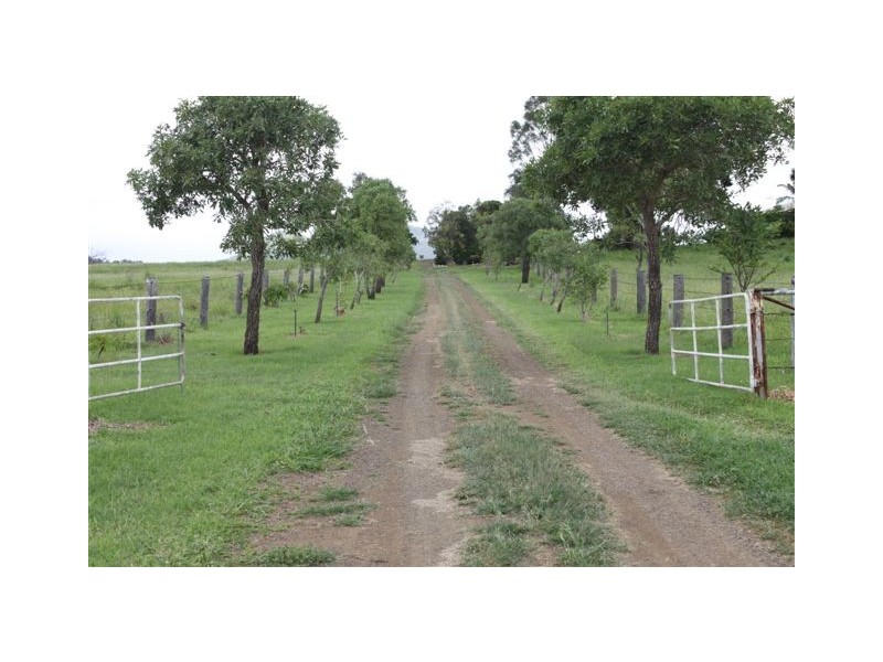 119 Harding Road, Alton Downs QLD 4702