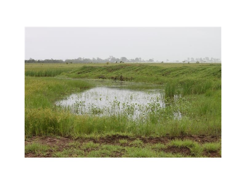 119 Harding Road, Alton Downs QLD 4702