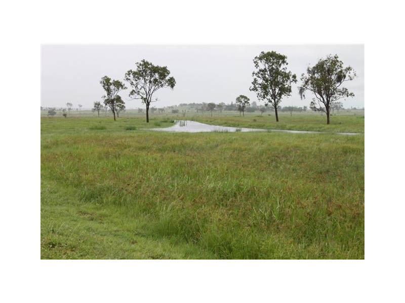 119 Harding Road, Alton Downs QLD 4702