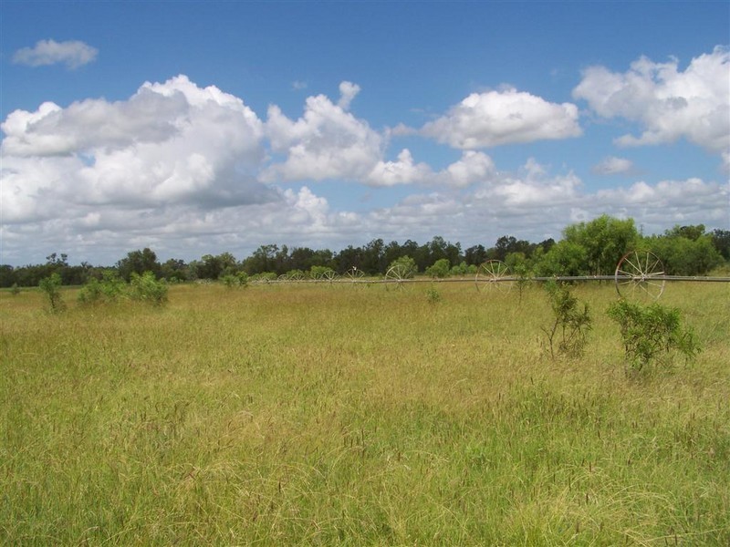 Lot 102 Wedel Road, Alton Downs QLD 4702