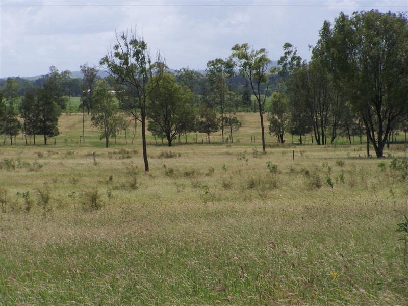 Lot 102 Wedel Road, Alton Downs QLD 4702