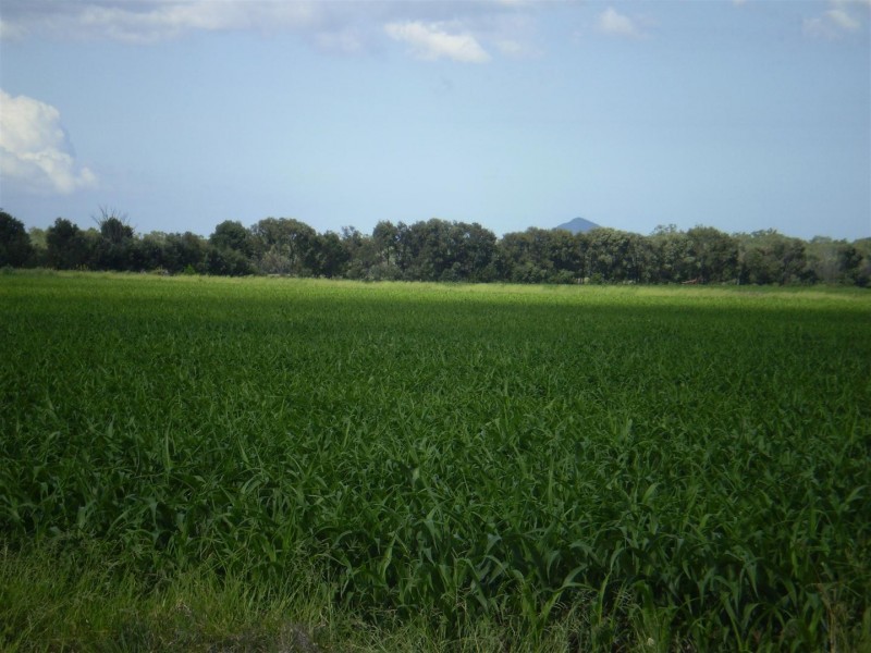 Lot 3 Birrahlee Road, South Yaamba QLD 4702