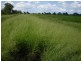 Lot 3 Birrahlee Road, South Yaamba QLD 4702
