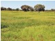 Lot 5 and 6 “Kulki”, Dirranbandi QLD 4486